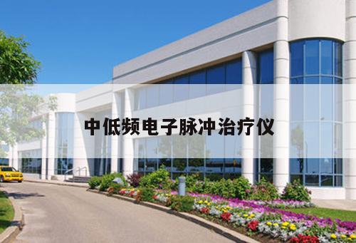 中低頻電子脈沖治療儀