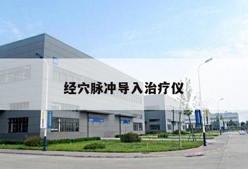 經(jīng)穴脈沖導(dǎo)入治療儀