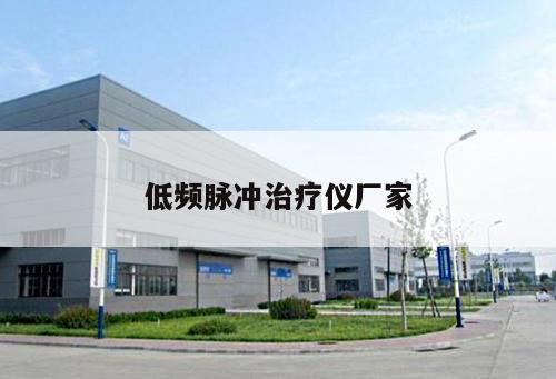 低頻脈沖治療儀廠家